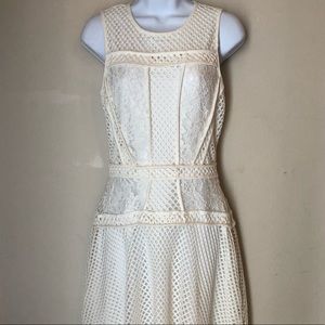 Optic white lace/netted J/M dress